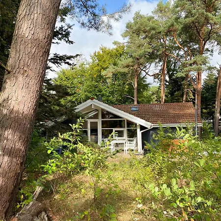 Ferienhaus Idyllic In The Nature Close To The *