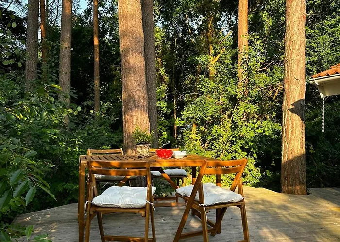 Idyllic In The Nature Close To The Bøtø By